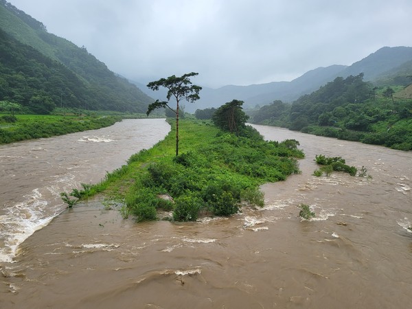 지난 15일 오전 폭우로 차오른 동계 섬진강